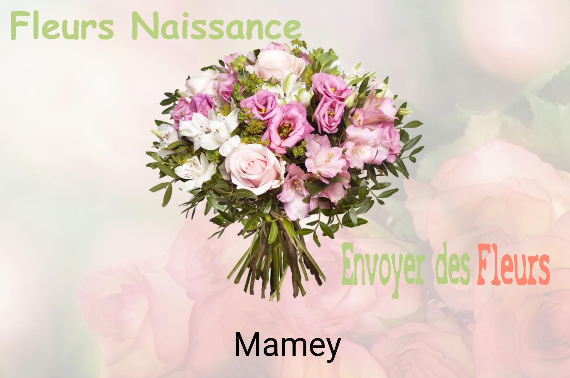 Bouquet de fleurs de naissance livré à Mamey